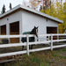 New Construction Projects and Renovated Homes 7
